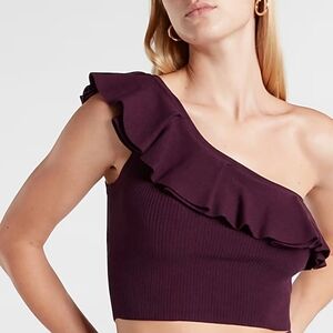 Express Eggplant Purple Ruffle  One Shoulder Knit Cropped Top